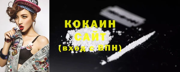 стаф Аркадак