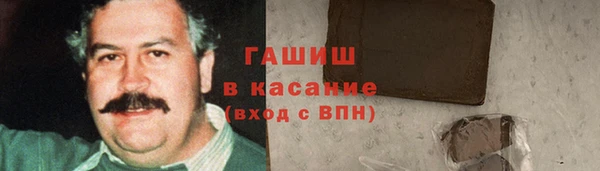 стаф Аркадак