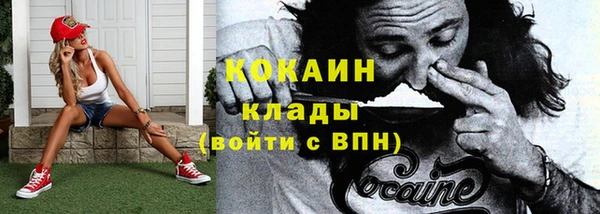 стаф Аркадак