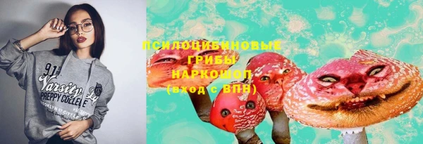стаф Аркадак