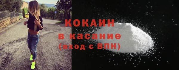 стаф Аркадак