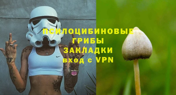 МДПВ Арсеньев