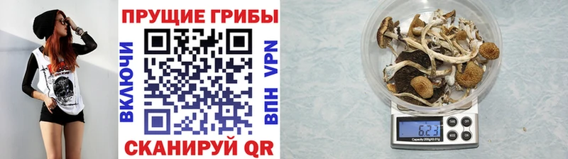 Псилоцибиновые грибы мухоморы  blacksprut маркетплейс  Снежинск 